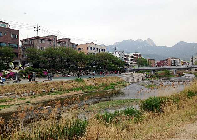 川沿いの公園