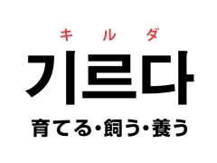 韓国語の「기르다 キルダ（育てる・飼う・養う）」を覚える！