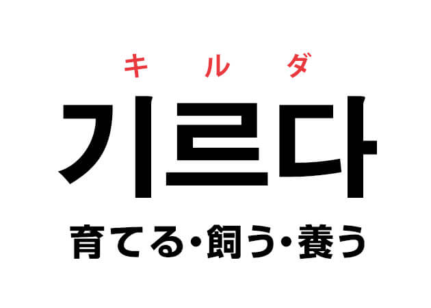 韓国語の「기르다 キルダ（育てる・飼う・養う）」を覚える！