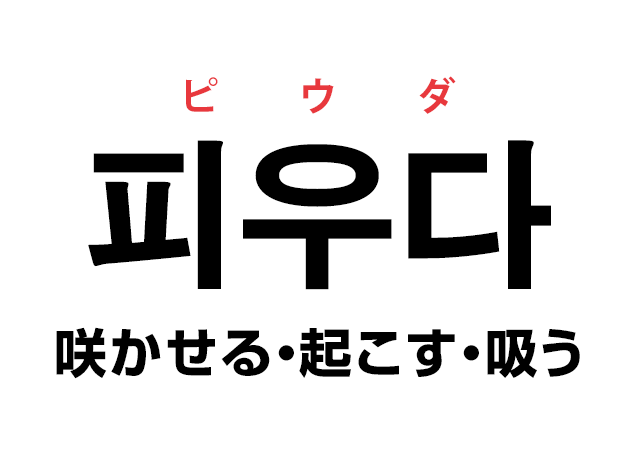 韓国語の「피우다 ピウダ（咲かせる・起こす・吸う）」を覚える！