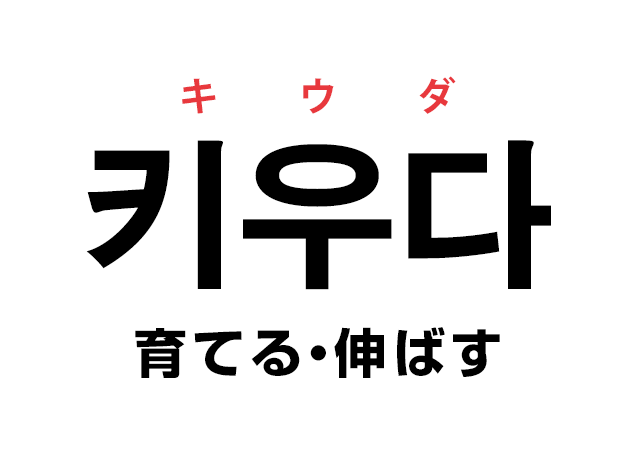 韓国語の 키우다 キウダ 育てる 伸ばす を覚える ハングルノート