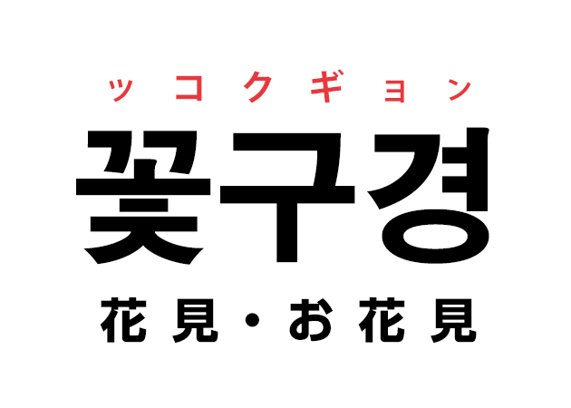 韓国語の「꽃구경 ッコクギョン（花見・お花見）」を覚える！