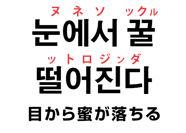 韓国語で好きな人を見つめる表現「눈에서 꿀 떨어진다 （目から蜜が落ちる）」