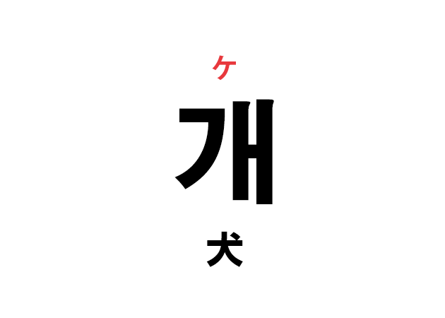 韓国語の「개 ケ（犬）」を覚える！