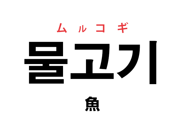 韓国語の「물고기 ムルコギ（魚）」を覚える！