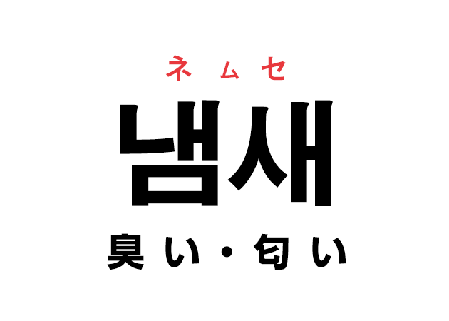 アイゴ 韓国