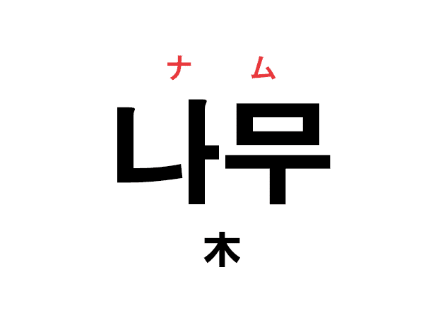 韓国語の「나무 ナム（木）」を覚える！