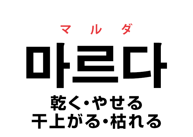 韓国語の「마르다 マルダ（乾く・やせる・干上がる・枯れる）」を覚える！