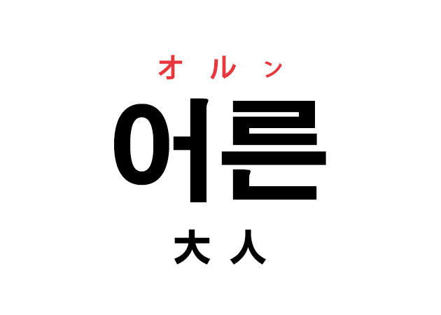 韓国語の「어른 オルン（大人）」を覚える！