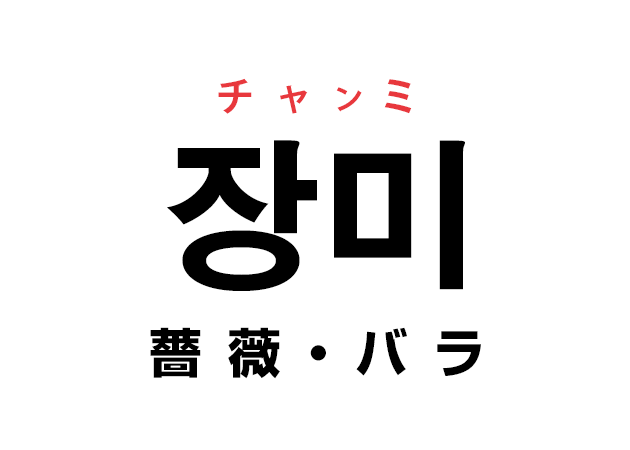 韓国語の 장미 チャンミ 薔薇 バラ を覚える ハングルノート