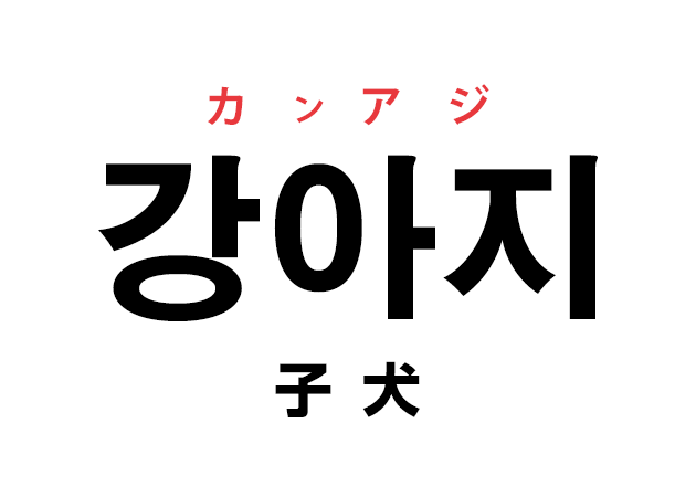 韓国語の「강아지 カンアジ（子犬）」を覚える！