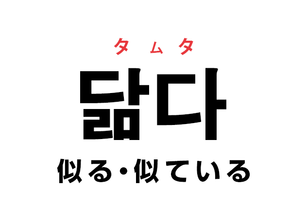 韓国語の「닮다 タムタ（似る・似ている）」を覚える！