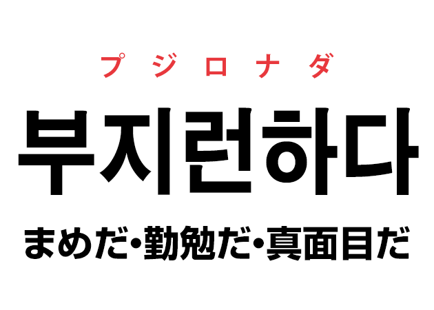 韓国語の「부지런하다 プジロナダ（まめだ・勤勉だ・真面目だ）」を覚える！