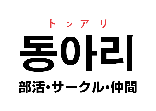 韓国語の「동아리 トンアリ（部活・サークル・仲間）」を覚える！