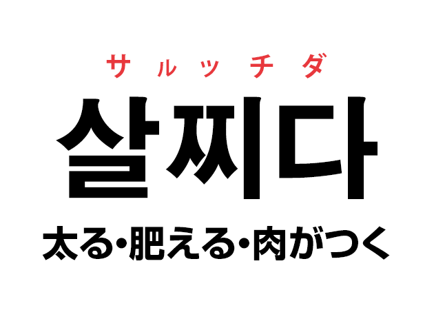 韓国語の「살찌다 サルッチダ（太る・肥える・肉がつく）」を覚える！