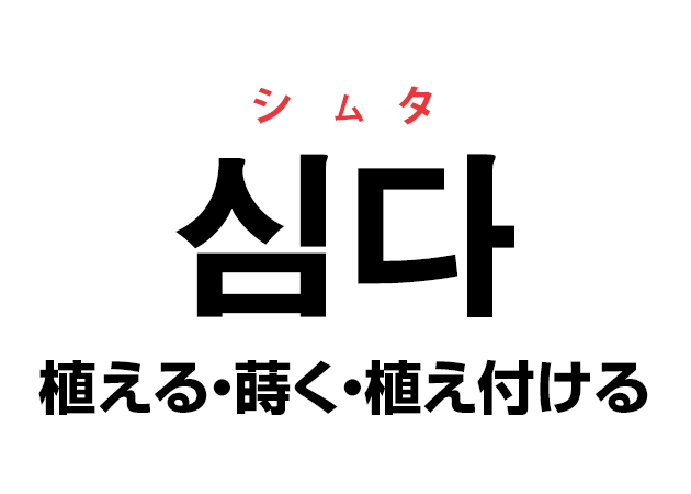 韓国語の「심다 シムダ（植える・植え付ける）」を覚える！