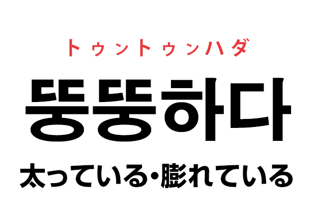 韓国語の「뚱뚱하다 ットゥンットゥンハダ（太っている・膨れている）」を覚える！