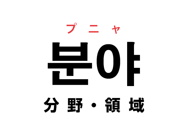 韓国語の「분야 プニャ（分野・領域）」を覚える！