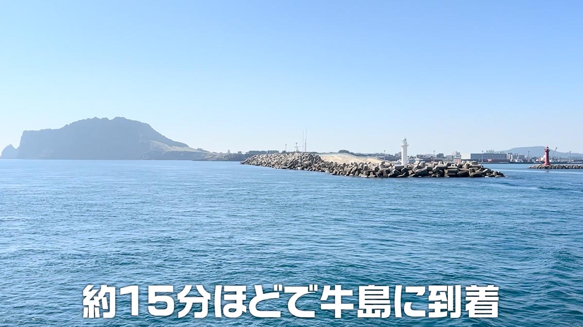 牛島はチェジュ島の本島からは離れており、フェリーでしか行くことができません。